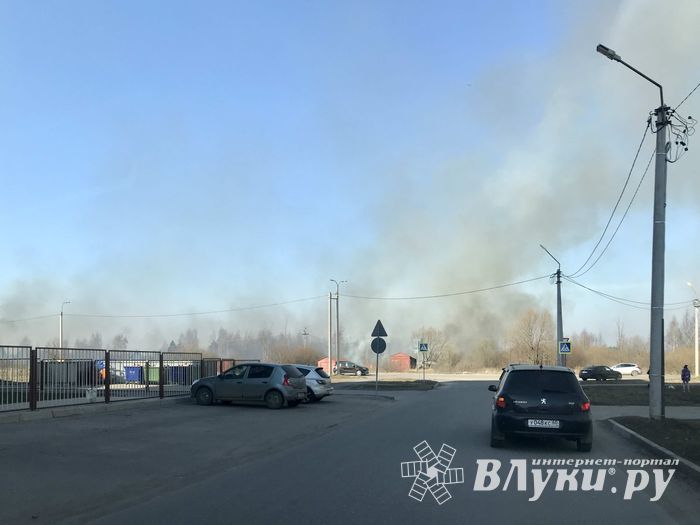 Пал травы угрожает строениям в Северном микрорайоне (ФОТО; ВИДЕО)