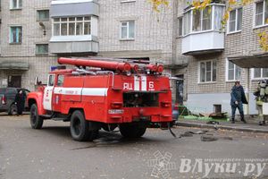 В Великих Луках на проспекте Гагарина загорелась квартира (фото)