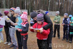«Великолукский Марафон-2014» прошел в Сенчитском бору (фото)