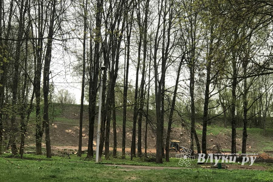 В будущем Петровском парке завершается очередной этап работ (ФОТО)