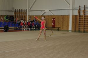 В Великих Луках прошло Открытое первенство города по художественной гимнастике (ФОТО)