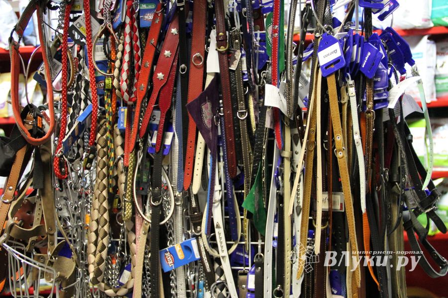 «Zooбастики»: подарите праздник своим любимцам! (ФОТО+ВИДЕО)