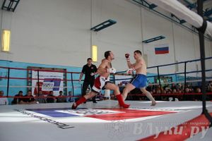 Чемпионат Псковской области по ММА