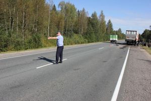 Фото: Псковское агентство информации