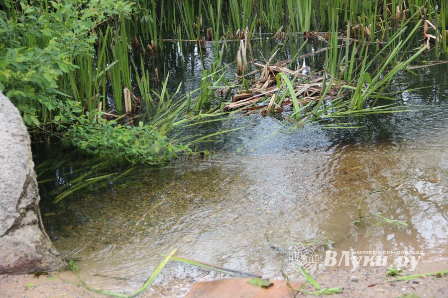 «Партия Дела» делает дело