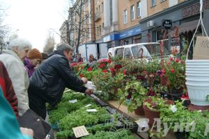 Весенняя ярмарка 2013 прошла в Великих Луках