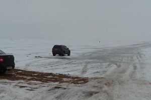 Фото пресс-службы Северо-Западного территориального Росрыболовства