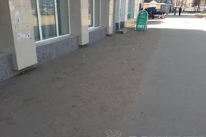 Весне дорогу!