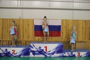 В Великих Луках прошли соревнования по художественной гимнастике (ФОТО)