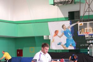 Настольный теннис