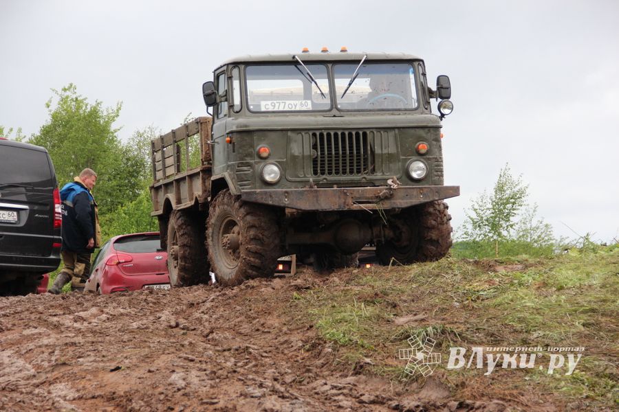 Кураж (ФОТО)