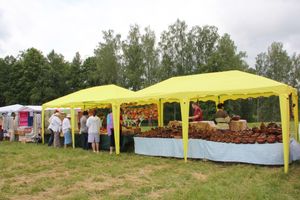 Праздник поэзии