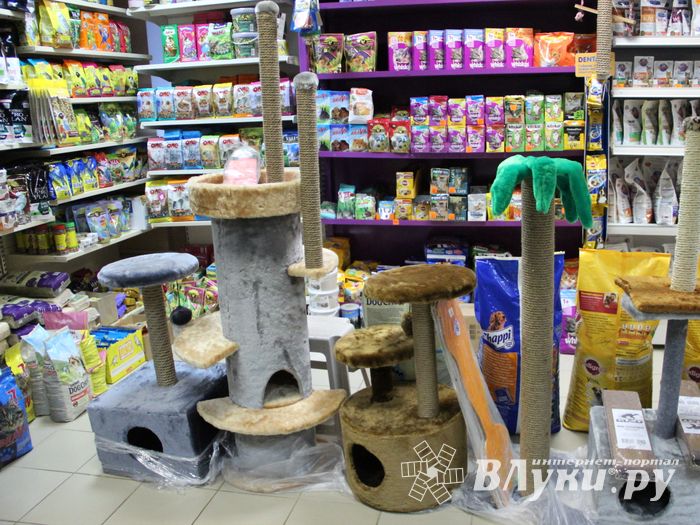 «Zooбастики»: подарите праздник своим любимцам! (ФОТО+ВИДЕО)