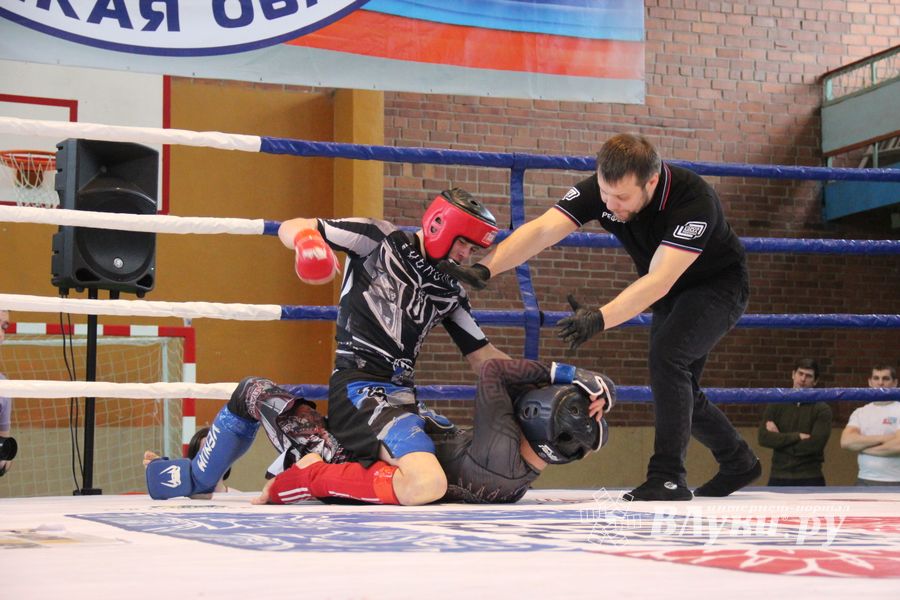 В Великих Луках прошел международный открытый Кубок по смешанному боевому единоборству (ФОТО) (16+)