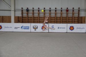 Гимнастика