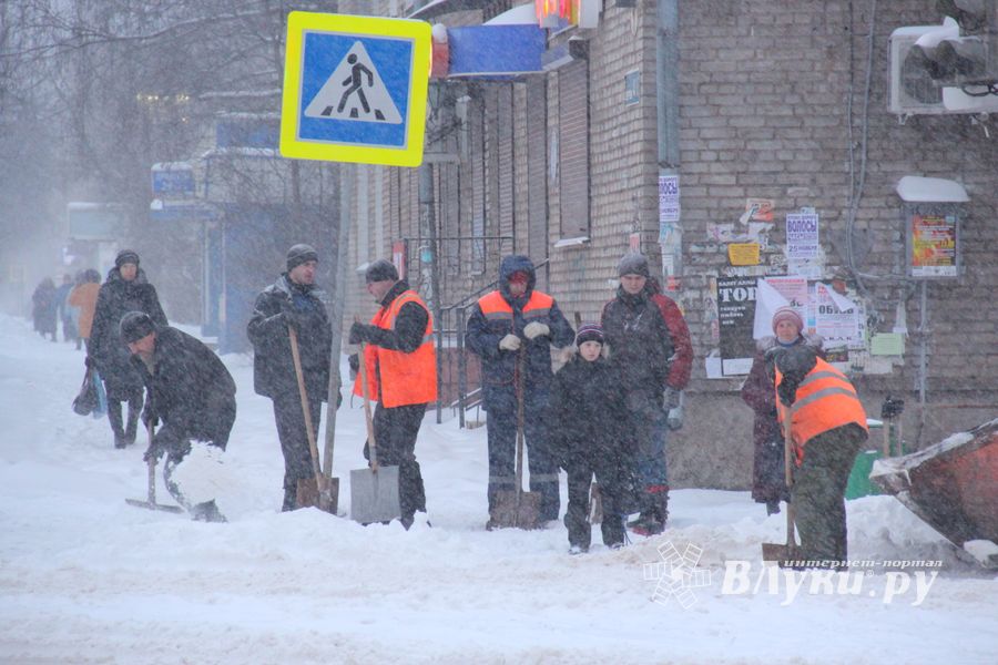 Великие Луки заносит снегом (фото)