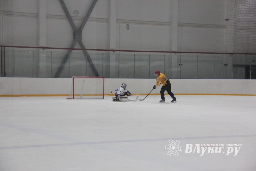 Определилась команда, которая будет представлять город на Кубке области по хоккею (ФОТО)