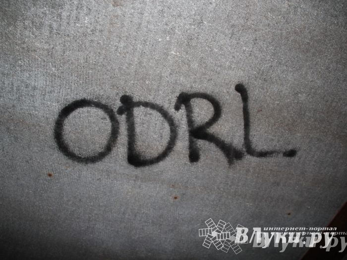 В Великих Луках состоялась презентационная игра «Дозор» (фото)