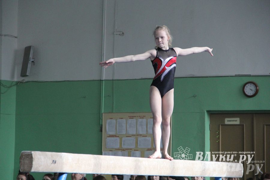 В Великих Луках прошел турнир по спортивной гимнастике (фото)