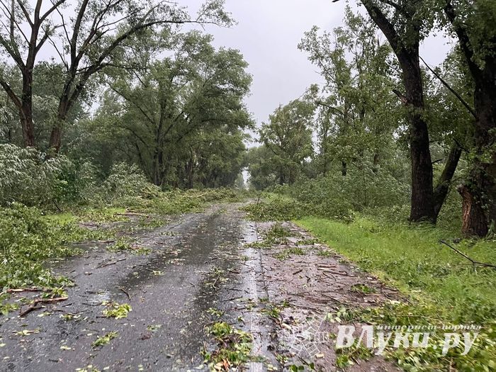 Весь ужас вчерашнего урагана в Великих Луках и районе (ФОТО, ВИДЕО)