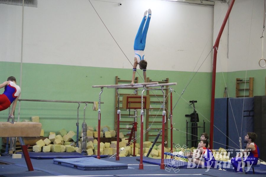 В Великих Луках состоялось Первенство города по спортивной гимнастике (фото)