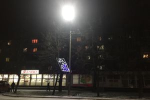 Великолукских белок не выдерживают уличные столбы (ФОТО)