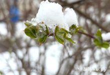 Прогноз погоды на 11 апреля в Великих Луках
