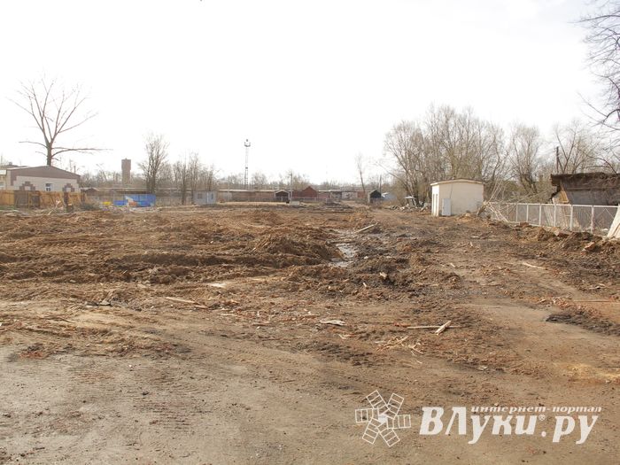 Директор школы № 6: Процесс идет интенсивный, но это внешне не видно (ФОТО)