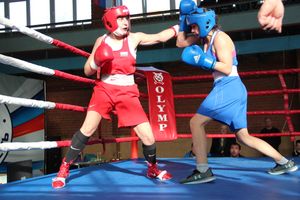 В Великих Луках прошел турнир по боксу памяти Е. Клевцова (ФОТО)