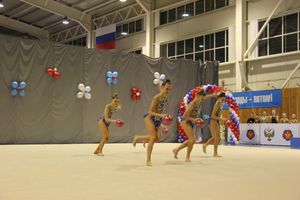 В Великих Луках проходит Кубок Псковской области по художественной гимнастике (ФОТО) (0+)