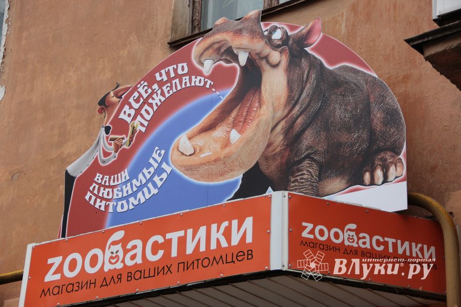 «Zooбастики»: подарите праздник своим любимцам! (ФОТО+ВИДЕО)