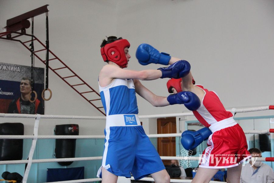 В Великих Луках завершился открытый турнир по боксу (ФОТО)