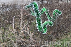 Этот странный январь