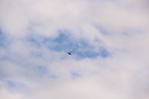 В Великих Луках проходит 7-й Фестиваль авиамодельного спорта (ФОТО)