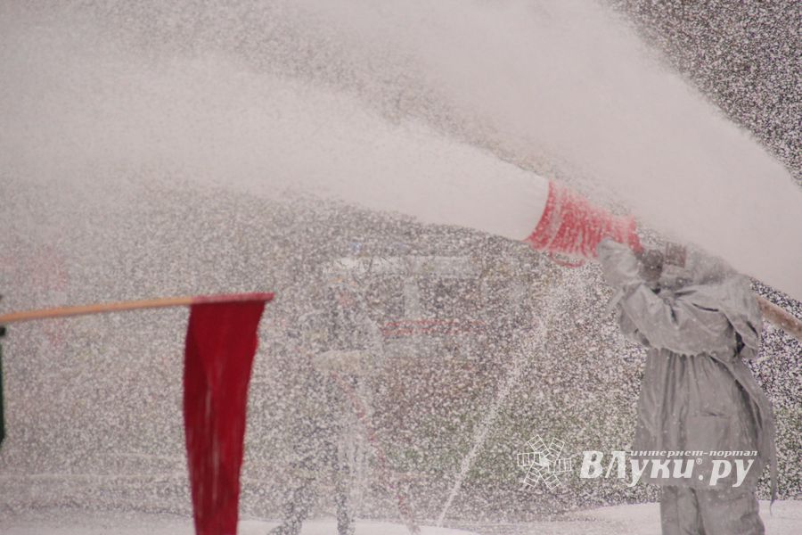 В Великих Луках тушили поезд (ФОТО)