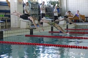 В Великих Луках прошли соревнования по плаванию «Весёлый дельфин» 