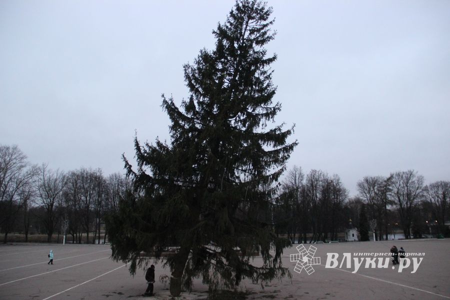 Необычное украшение сняли с главной ёлки Великих Лук (ФОТО)