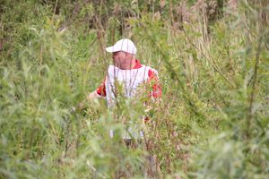 «Партия Дела» делает дело