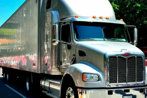 Фото создано нейросетью Шедеврум