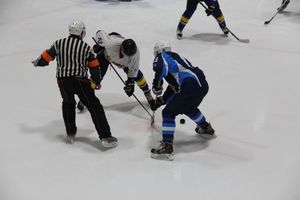 К «ЛукиСпорт» уступил с разницей в одну шайбу (ФОТО)