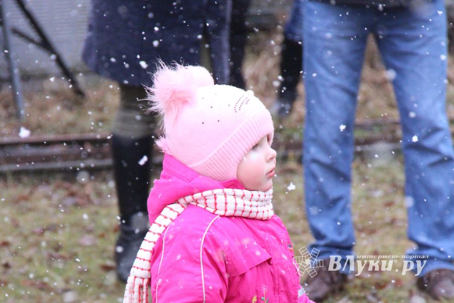 В Великих Луках сожгли Масленицу (фото)