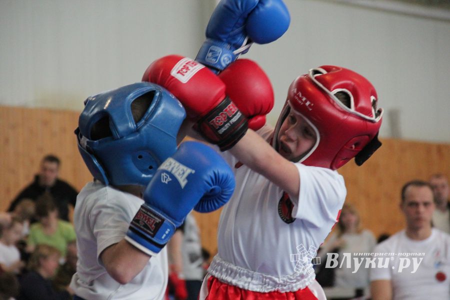 В Великих Луках проходит Кубок по кикбоксингу (ФОТО) (0+)