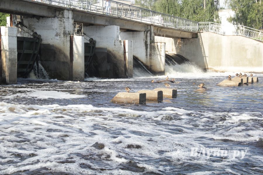В Великих Луках обнаружили тело мужчины, который утонул 21 августа (ФОТО)