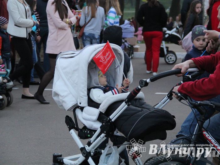 Праздничным концертом и салютом завершились празднования Дня Победы в Великих Луках (фото)