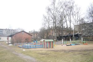 Великие Луки горели (фото)