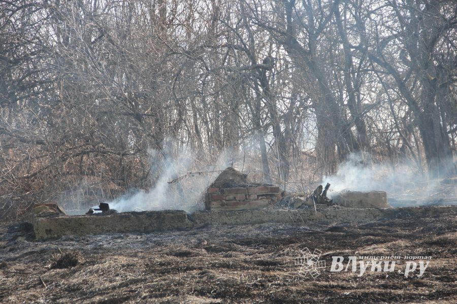 Великолукский район полыхает (ФОТО; ВИДЕО)