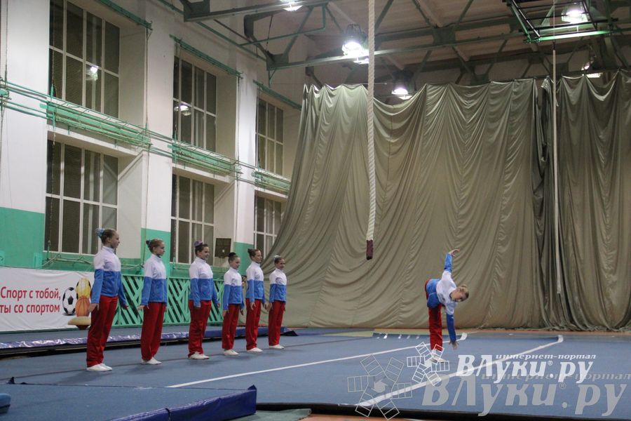 «Парад гимнастики» прошел в Великих Луках (фото)