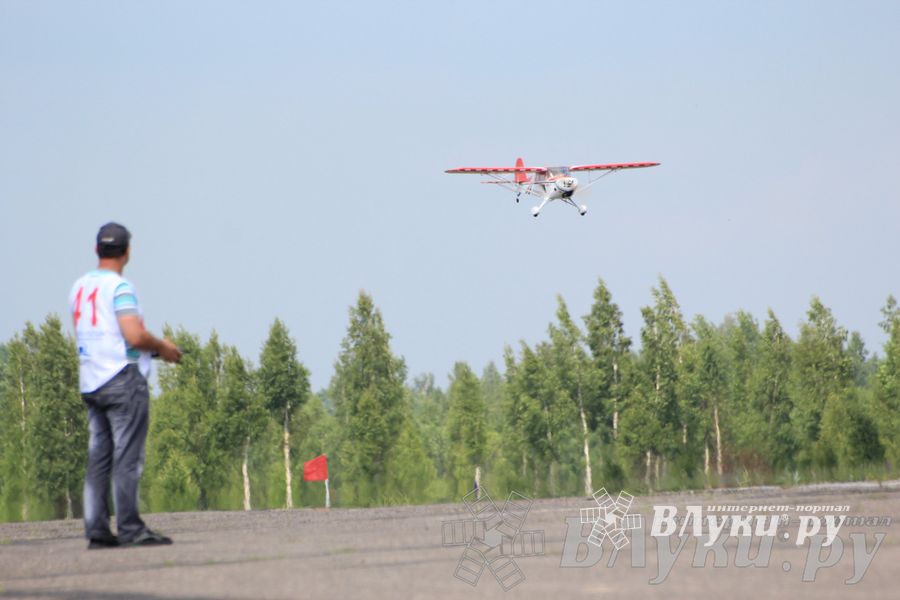 IV Фестиваль авиамодельного спорта России в классе радиоуправляемых моделей
