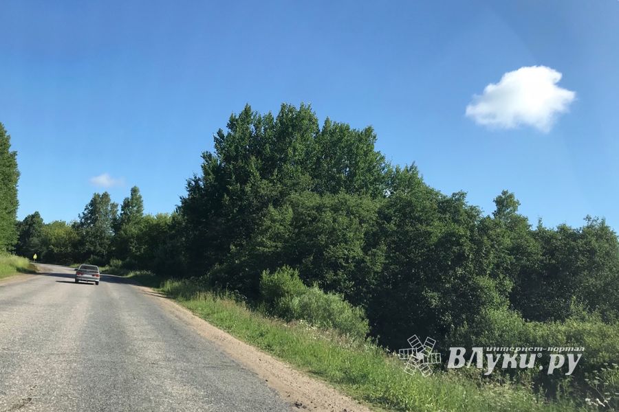 Трава у дома (ФОТО)