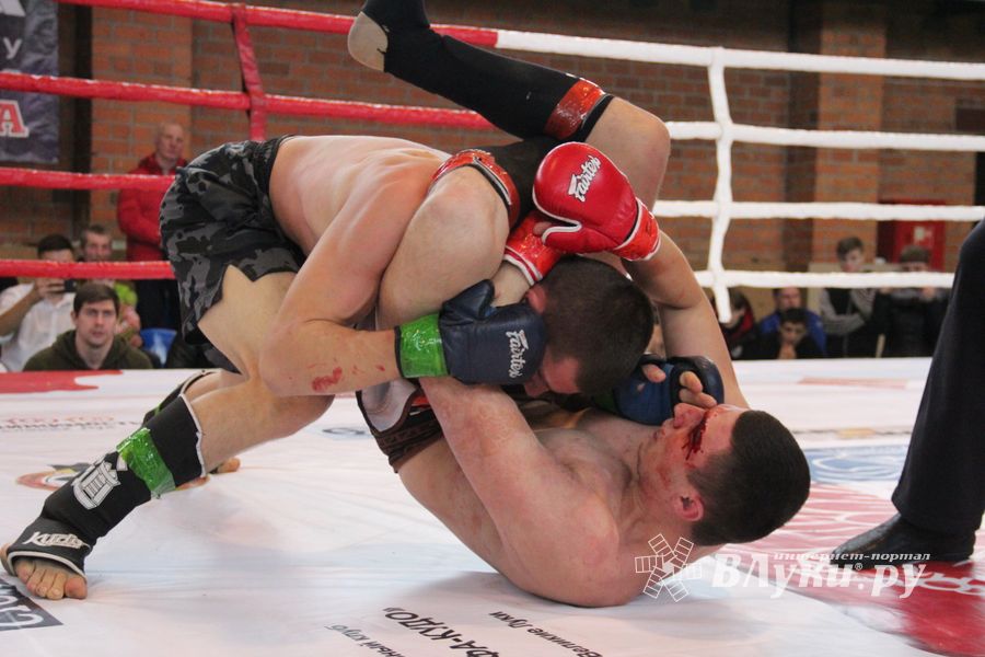 В Великих Луках прошел международный открытый Кубок по смешанному боевому единоборству (ФОТО) (16+)